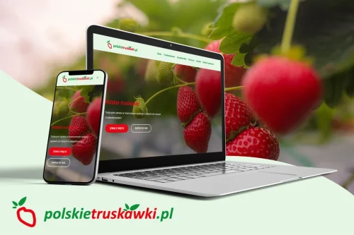 polskietruksawki pl